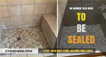 Should You Seal Shower Tiles? Essential Maintenance Tips Revealed