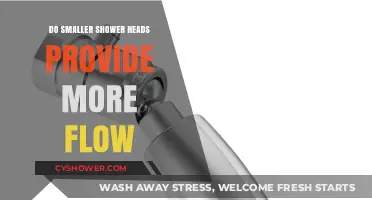 Smaller Shower Heads: Do They Boost Water Flow Efficiency?