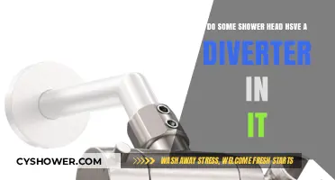 Do Some Shower Heads Include a Built-In Diverter?