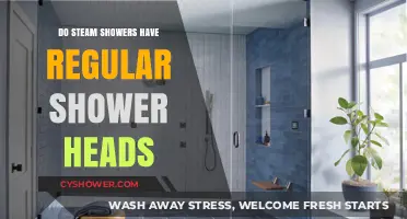 Steam Showers vs. Regular Showers: Do They Include Standard Shower Heads?