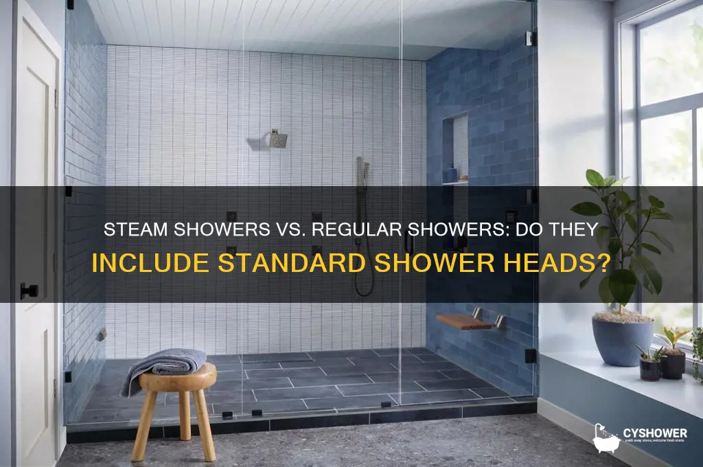do steam showers have regular shower heads