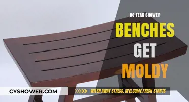 Do Teak Shower Benches Get Moldy? A Complete Guide