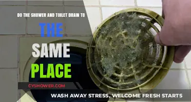 Shower vs. Toilet Drains: Do They Share the Same Destination?