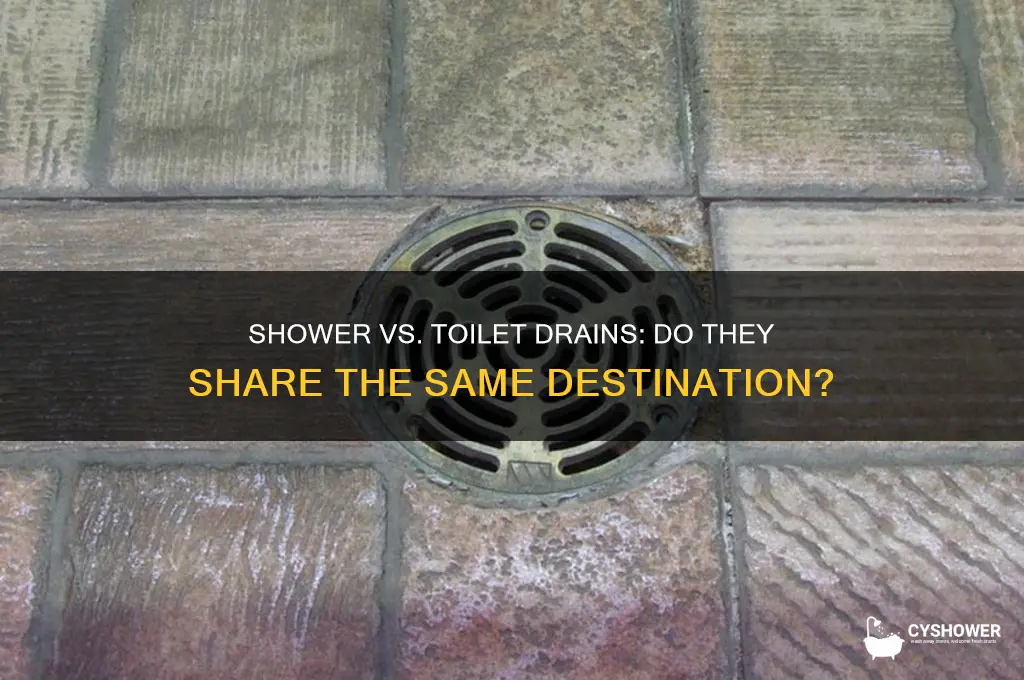 do the shower and toilet drain to the same place