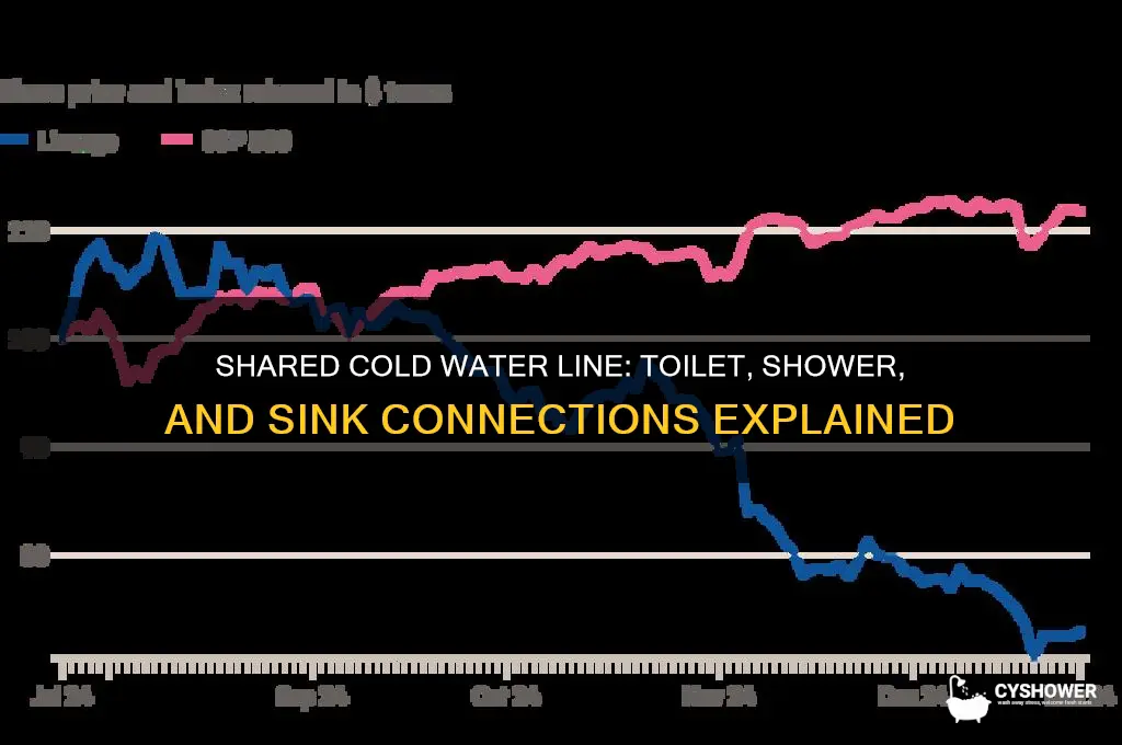 do the toilet shower and sink share cold water line