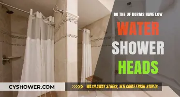 Are UF Dorm Showers Eco-Friendly? Low-Flow Water Pressure Explained