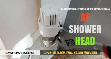 Thermostat Valves Placement: Opposite Wall of Shower Head?