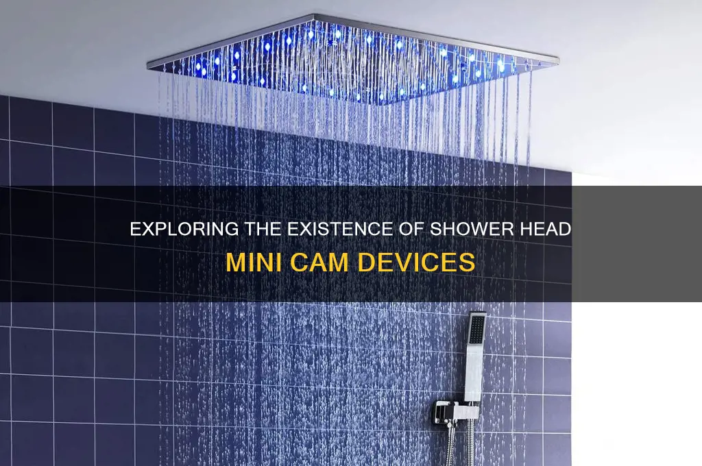 do they make a shower head mini cam