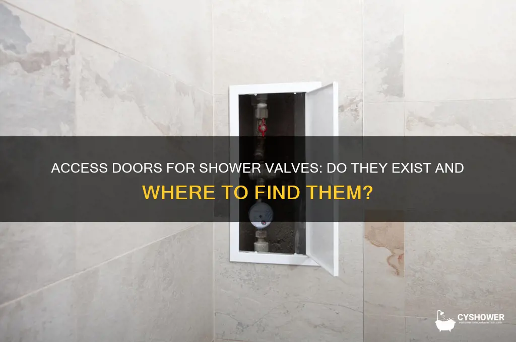 do they make access door for shower valves