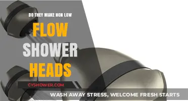 Are Non-Low Flow Shower Heads Still Available for Purchase?