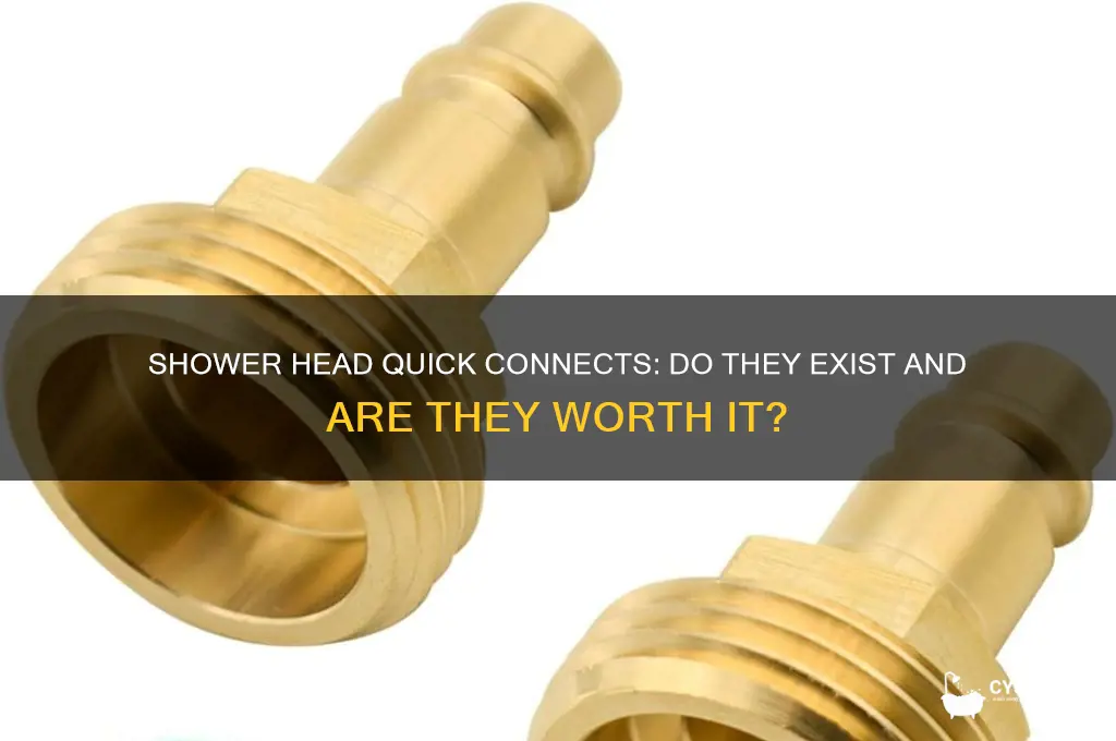 do they make shower head quick connects