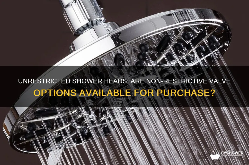 do they sell shower heads that have no restricted valve