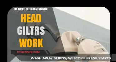 Do Shower Head Filters Really Work? Debunking Myths and Facts