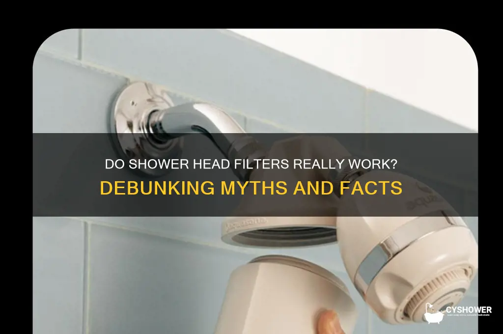 do those bathroom shower head giltrs work