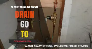Where Do Toilet and Shower Drains Lead? Uncovering Plumbing Paths