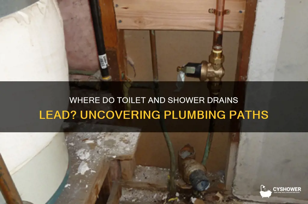 do toliet drains and shower drain go to