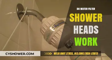 Do Water Filter Shower Heads Really Work? Unveiling the Truth