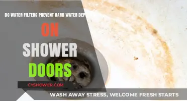 Can Water Filters Stop Hard Water Stains on Shower Doors?