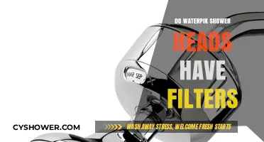 Do Waterpik Shower Heads Have Filters? A Comprehensive Guide