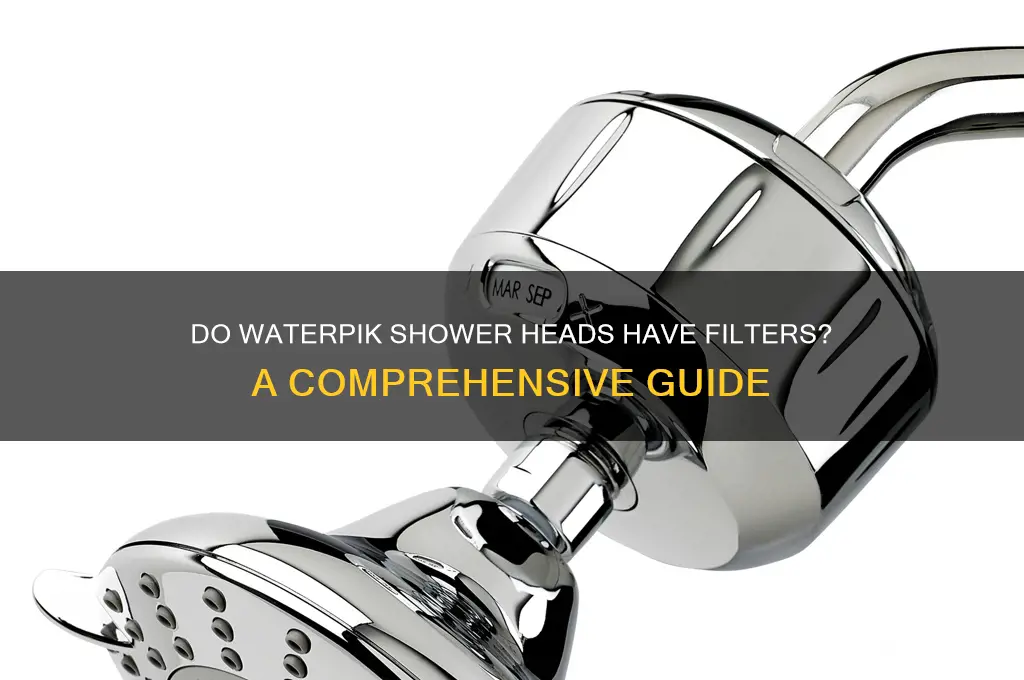 do waterpik shower heads have filters