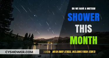 Meteor Shower Alert: What to Expect in the Night Sky This Month