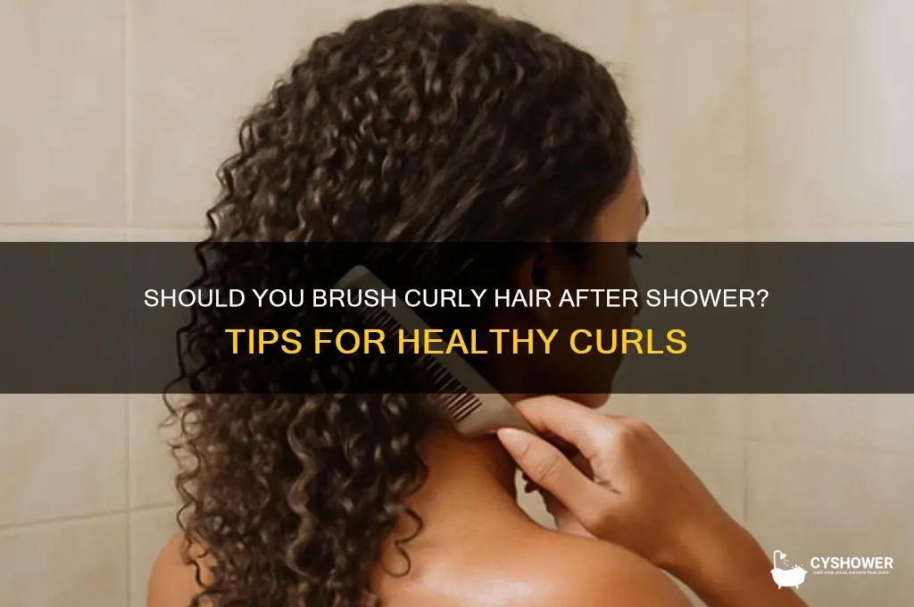 do you brush curly hair after shower