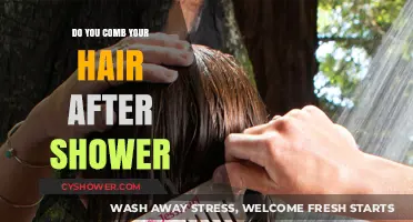Post-Shower Hair Care: Should You Comb Your Hair Right Away?