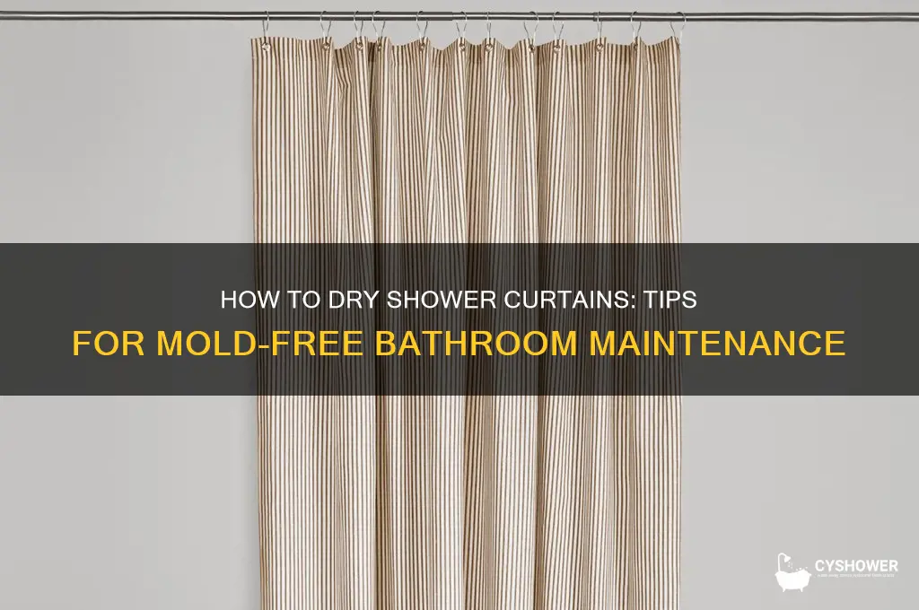 do you dry shower curtains