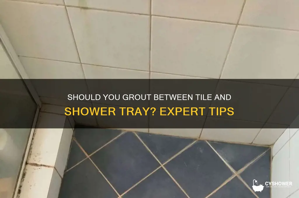 do you grout between tile and shower tray