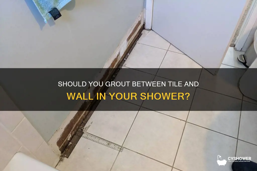 do you grout between tile and wall in shower