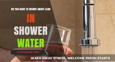 Is Lead in Your Shower Water a Hidden Health Risk?