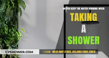 Should You Keep the Water Running During Showers? Eco-Friendly Tips