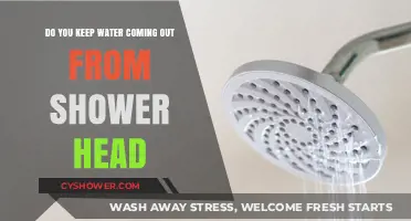 Prevent Shower Head Leaks: Tips to Stop Water from Dripping Continuously