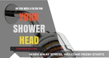 Shower Head Filters: Essential or Optional for Clean Water?