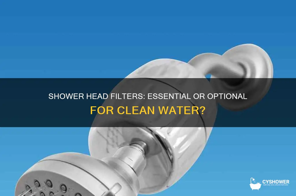 do you need a filter for your shower head