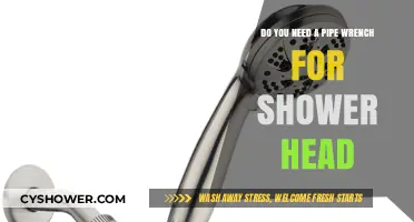 Shower Head Installation: Is a Pipe Wrench Necessary for the Job?
