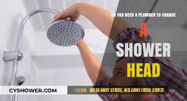 Changing a Shower Head: DIY or Call a Plumber?