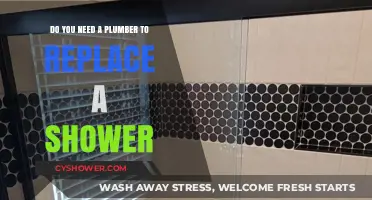 DIY or Hire a Plumber: Replacing Your Shower Made Easy