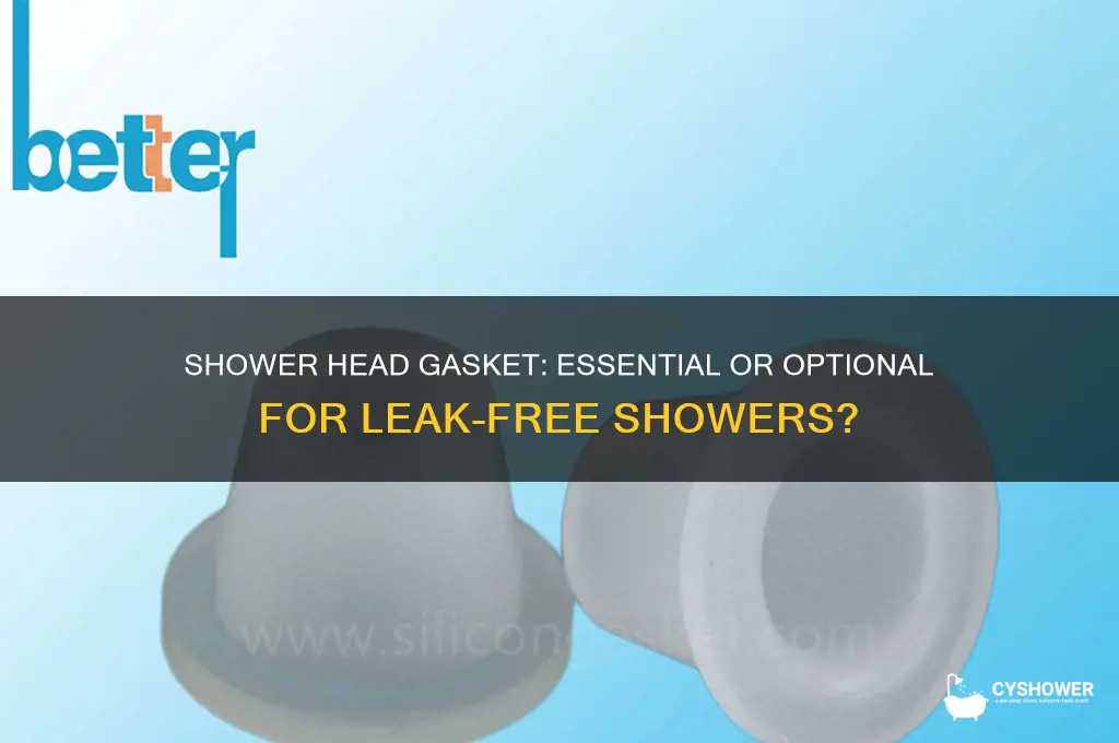 do you need a shower head gasket