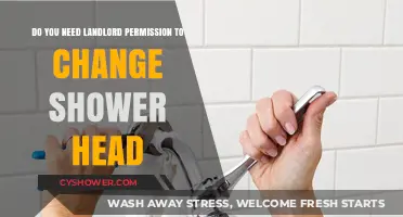 Changing Shower Heads: Do You Need Landlord Approval First?