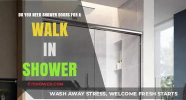 Walk-In Shower Doors: Are They Necessary or Optional?