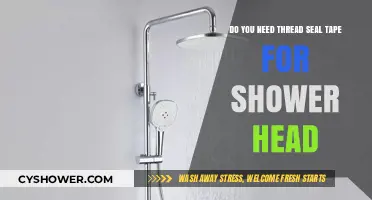 Shower Head Installation: Thread Seal Tape Necessary or Not?
