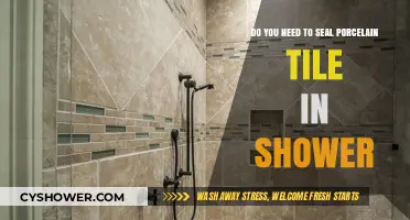 Should You Seal Porcelain Tile in Your Shower? Expert Advice