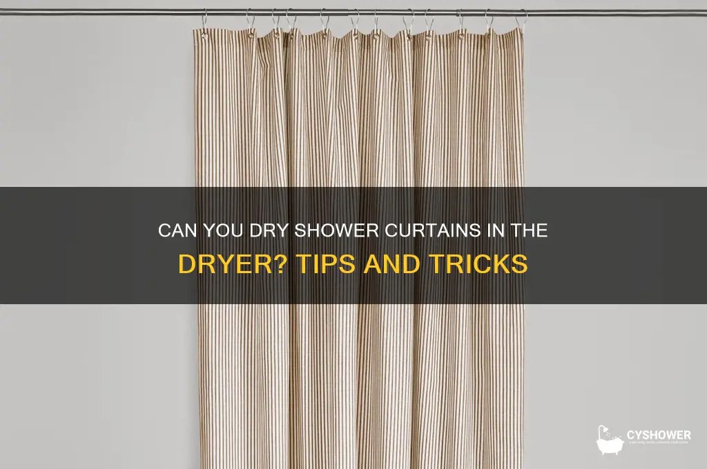 do you put shower curtains in the dryer