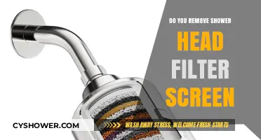Should You Remove Your Shower Head Filter Screen? Pros and Cons