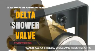 Should You Remove PlasterGuard When Installing Delta Shower Valve?
