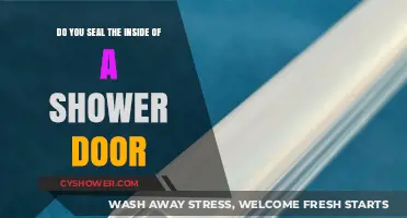 Should You Seal the Inside of a Shower Door? Expert Tips