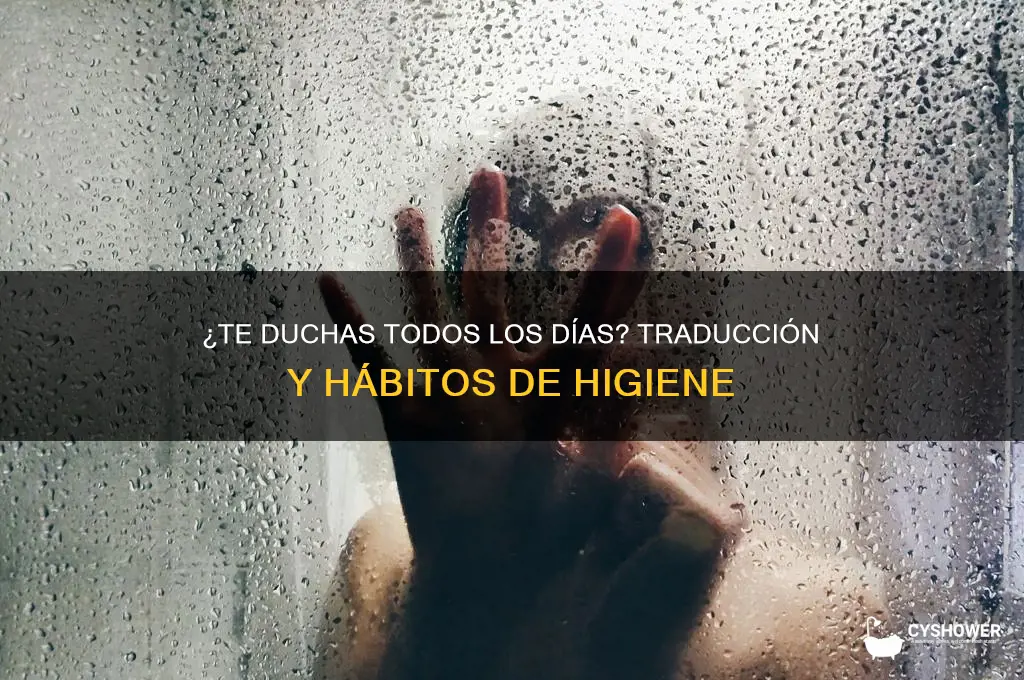 do you take a shower everyday translate to spanish