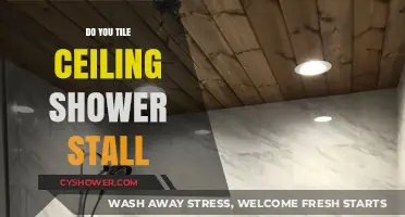 Should You Tile Your Shower Ceiling? Pros, Cons, and Tips