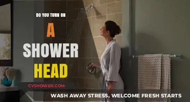 Should You Turn On Your Shower Head? A Quick Guide